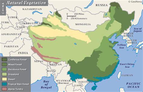 what part of china are tropical zone located
